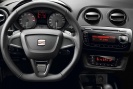 3407-b-seat-ibiza_cupra_2009-nahled3.jpg