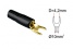 Kabelová vidlička pro kabel 10 mm² - černá